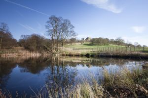 Hardwick Hall 21 sm.jpg